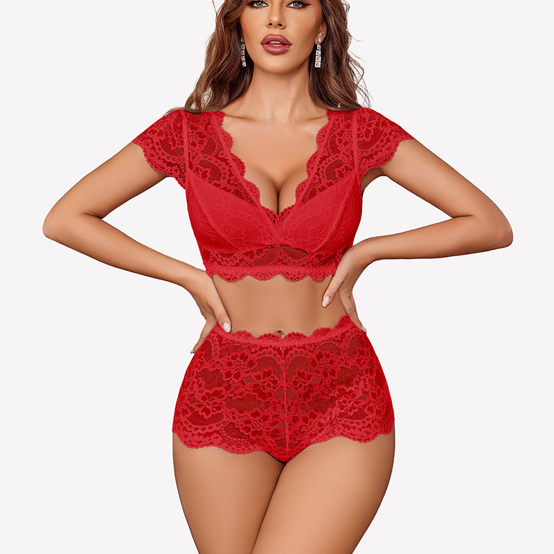 Lace Bra and Panty Sets Push Up Sheer Set