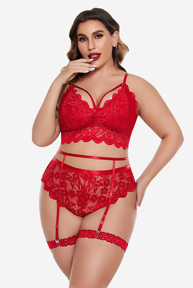 Plus size red lace lingerie set: bralette, high-waisted panties, garter belt. Floral lace.
