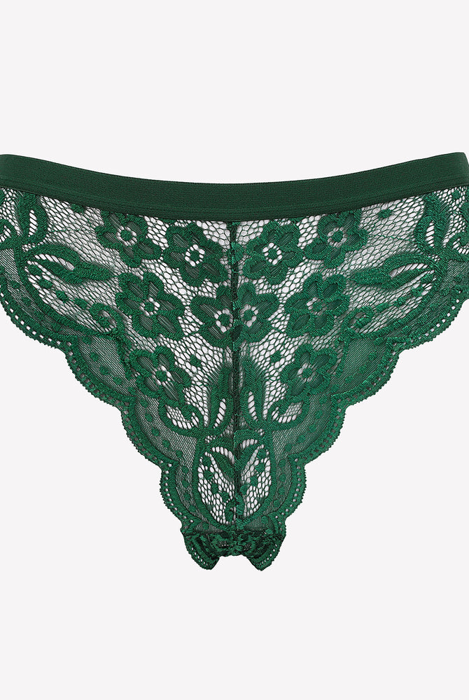 Green lace thong panties. Low waist, floral lace design. Avidlove lingerie.