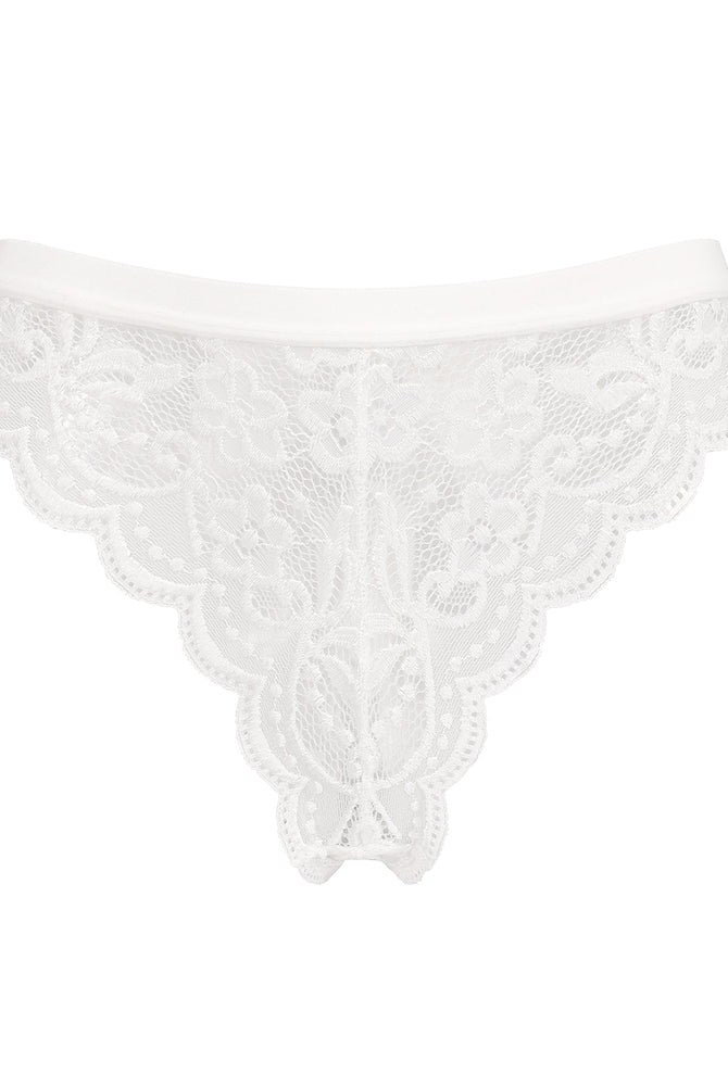 White lace thong panties. Low waist, floral lace design. Avidlove sexy lingerie for women.