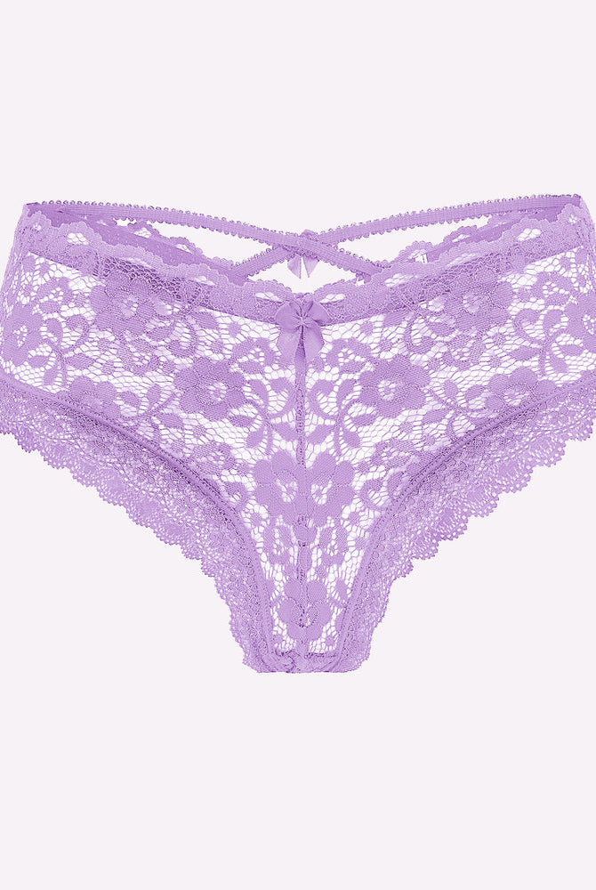 Avidlove Purple Lace Hipster Panties with Criss Cross Back - Feminine Lingerie