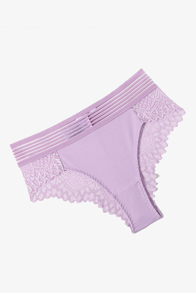 Light purple lace hipster panties, cotton blend, lace back, sexy design. Avidlove lingerie.