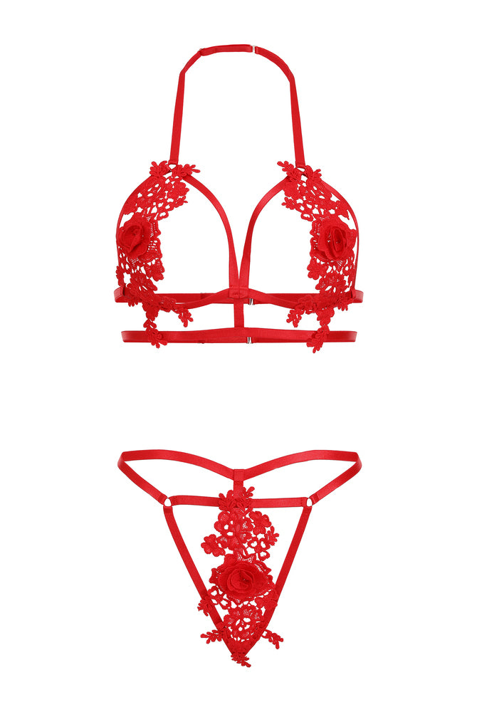 Red floral applique cut-out lingerie set, halter bra and panty, perfect for a romantic night