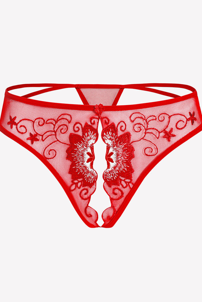 Red mesh thong panty with floral embroidery and scalloped lace trim.
