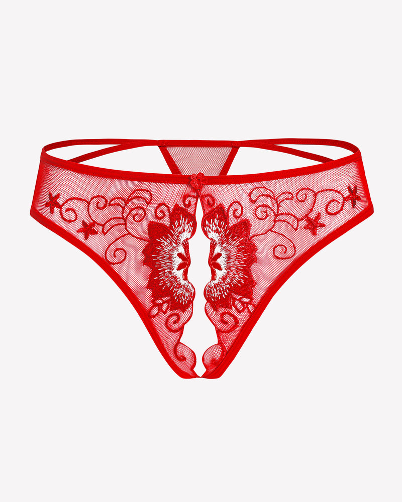 Red floral embroidered thong panties. Low rise design, sexy lingerie for women. Embroidered details.