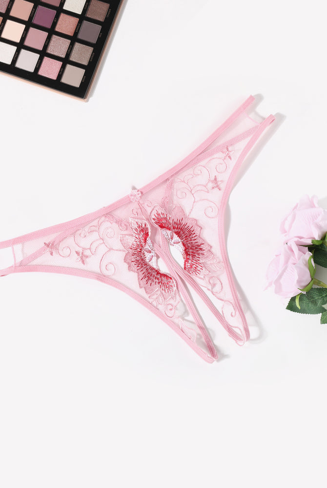 Embroidered thong panties, sheer pink with red floral heart embroidery and lace side detail