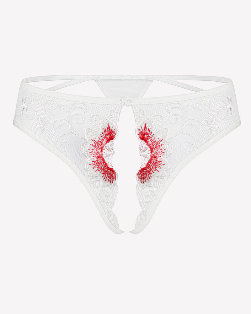 White floral embroidered thong panties with red accents. Low rise design, sexy lingerie for women.