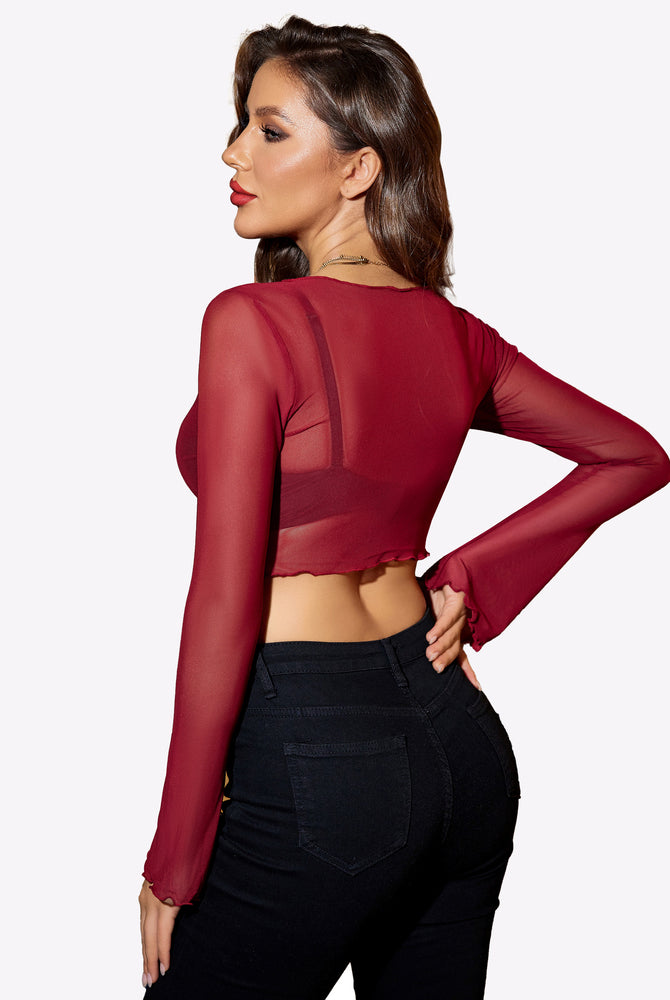 Burgundy mesh crop top with long sleeves. Y2K style, paired with black jeans. Sexy lingerie.