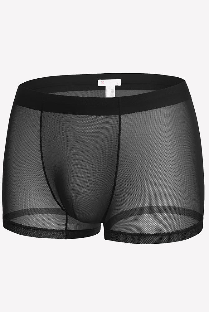 Men's mesh boxer briefs, black, front view with sheer mesh side panels
