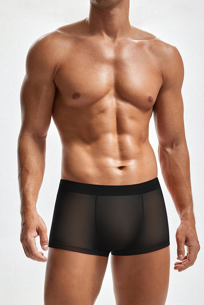 Black sheer mesh boxer briefs worn by a model, low-rise trunk style.