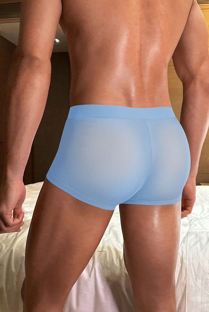 Light blue sheer boxer briefs on model, low-rise trunk cut.