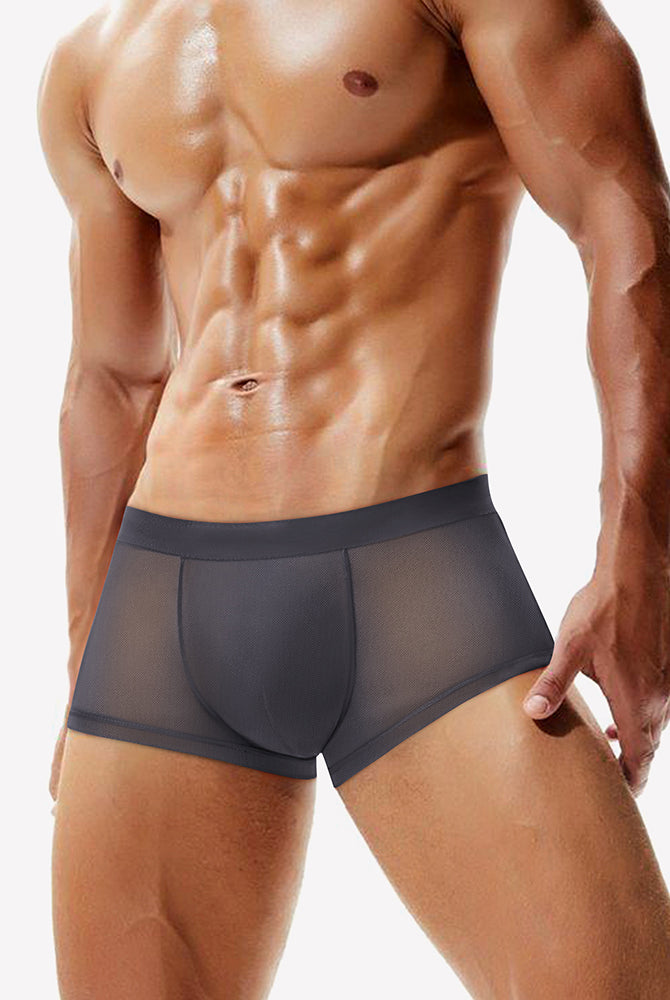 Dark gray mesh boxer briefs on model with elastic waistband and contoured pouch.