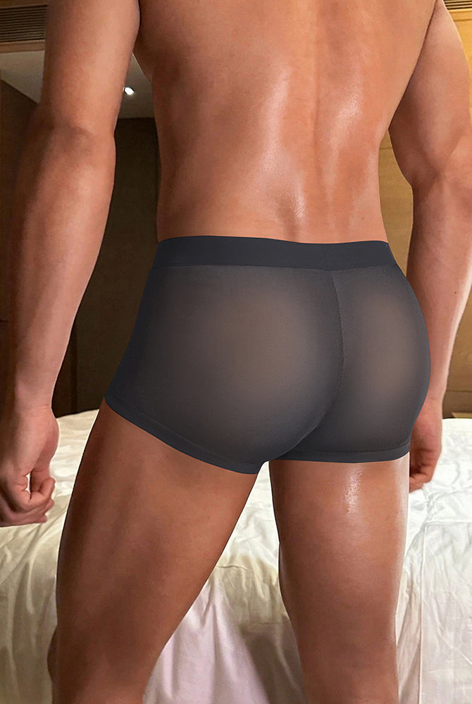 Dark gray sheer boxer briefs worn by model, smooth stretch fit.
