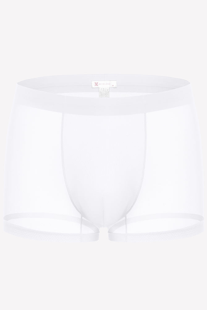 Men's mesh boxer briefs, white, breathable stretch trunk style with front panel
