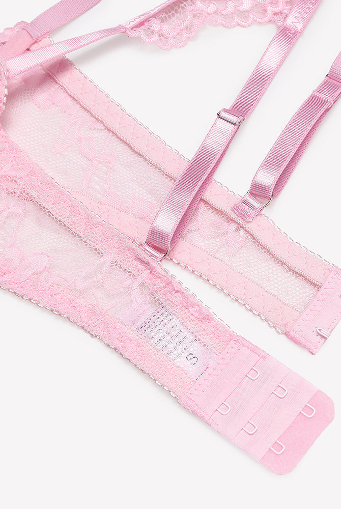 Pink lace garter belt and bra straps with adjustable hooks