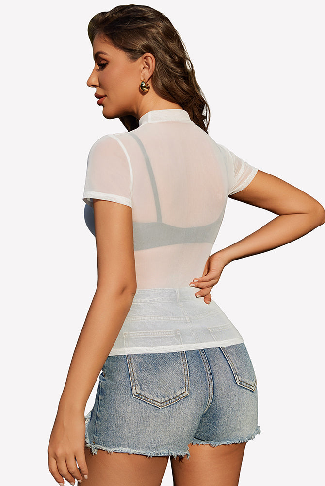 White sheer mesh top, short sleeves, back view with sheer panel.