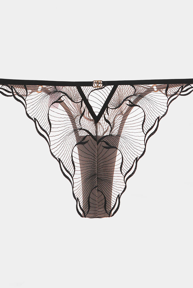 Black low rise lace panty, comfortable and breathable design, perfect for everyday wear.