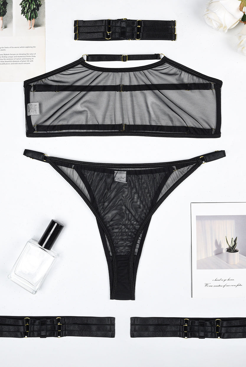 Black sheer mesh lingerie set with garter belt and choker. Sexy lingerie.
