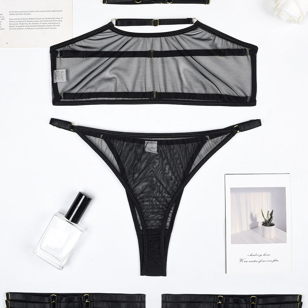 Black sheer mesh lingerie set with garter belt and choker. Sexy lingerie.