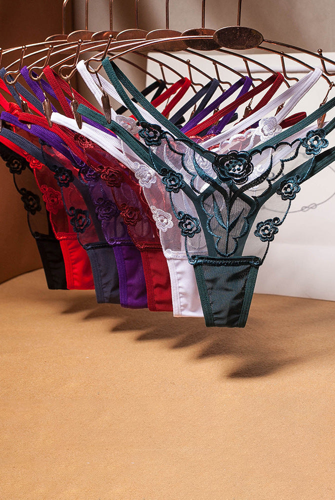 Rose Embroidery Thong Mesh Panties, floral embroidery, sheer mesh, multiple colors