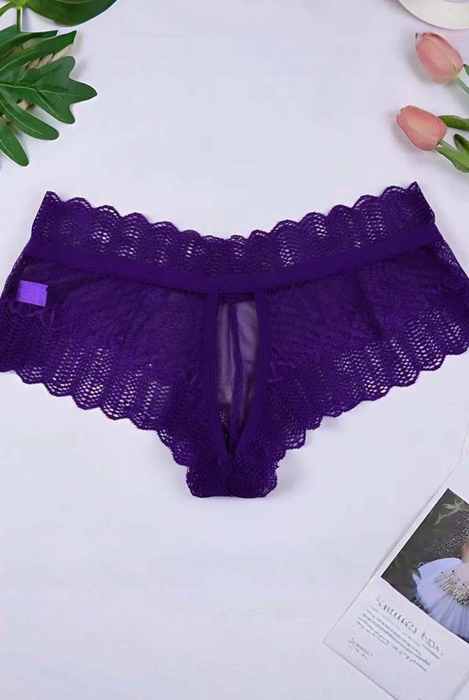 Purple lace panties with scalloped waistband and sheer front mesh panel