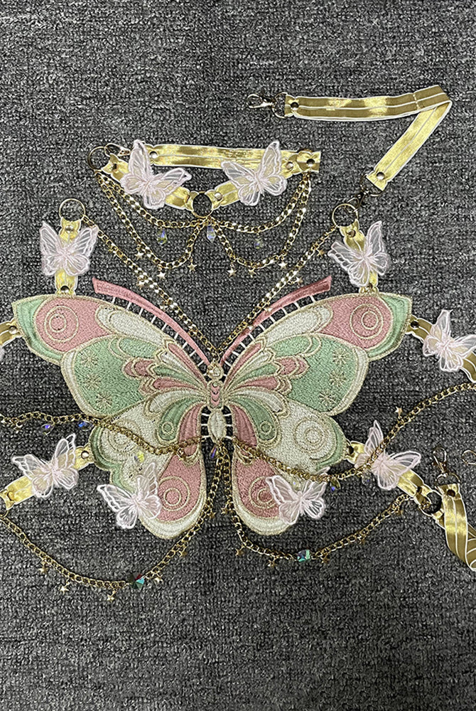 Embroidered butterfly sequin top design with gold chains and pink butterfly appliques