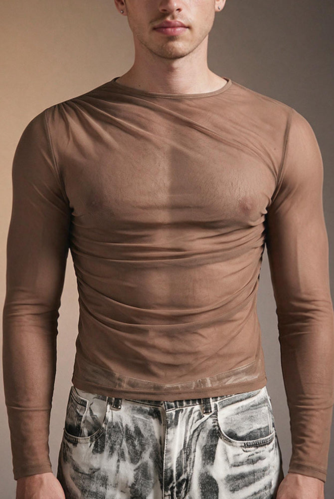 Sheer Mesh Long Sleeve Top - Brown