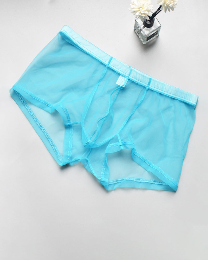 Light blue sheer mesh boxer briefs with elastic waistband and front pouch