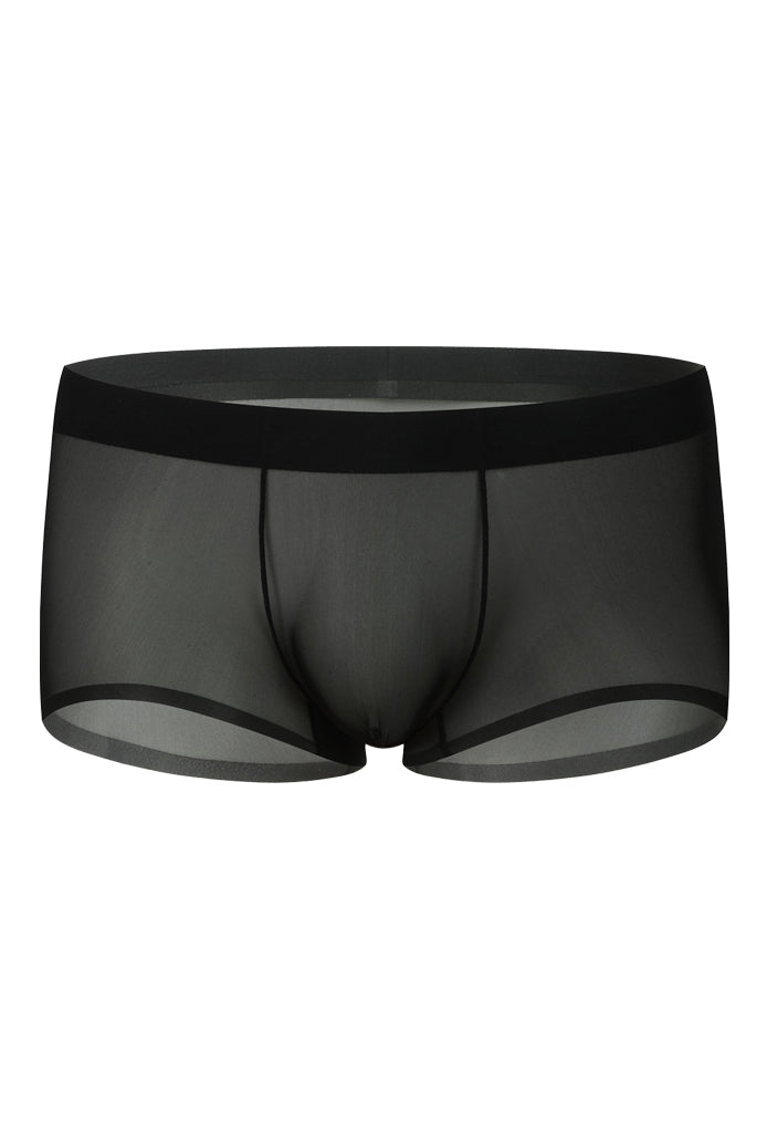Men's ice-silk seamless boxer briefs, black, front view, sheer mesh panel
