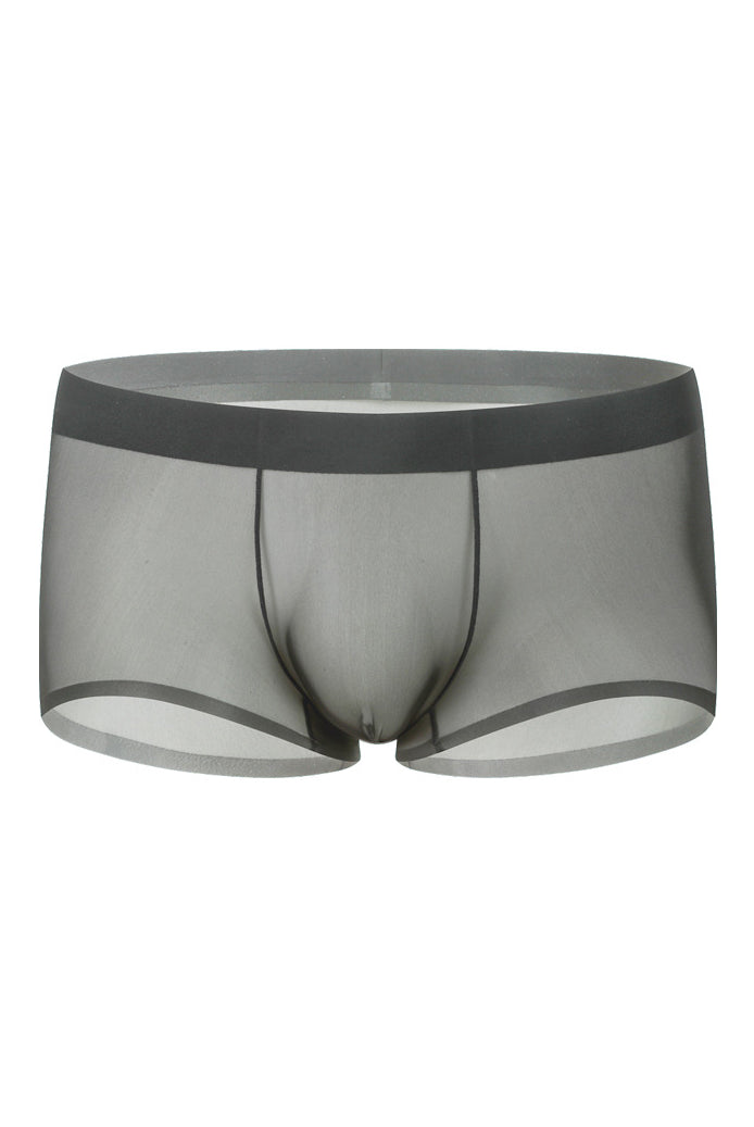 Men's ice-silk seamless boxer briefs, light gray, front view, sheer mesh panel