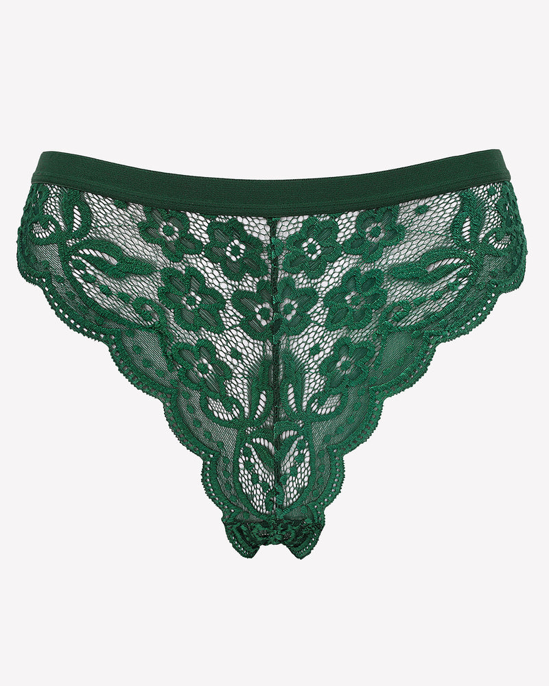 Green lace thong panties. Low waist, floral lace design. Avidlove lingerie.