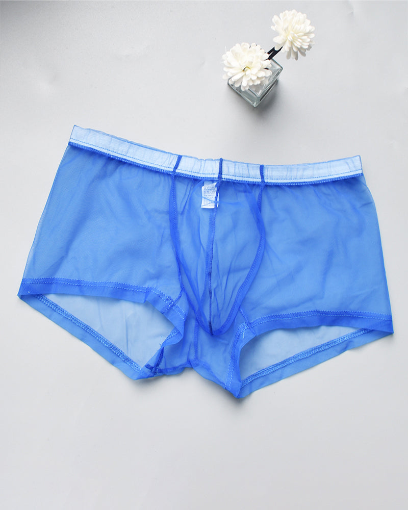 Blue sheer mesh boxer briefs with elastic waistband and front pouch