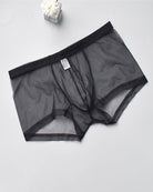Black sheer mesh boxer briefs with elastic waistband and front pouch