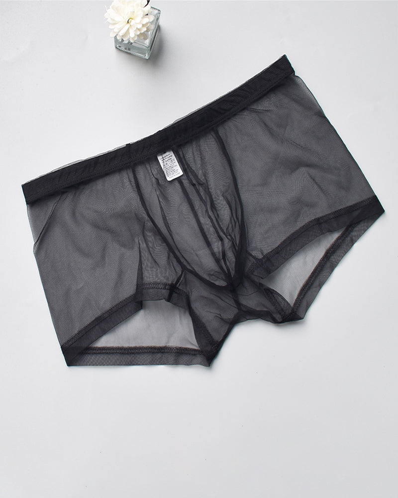 Black sheer mesh boxer briefs with elastic waistband and front pouch