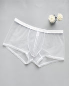 White sheer mesh boxer briefs with elastic waistband and front pouch