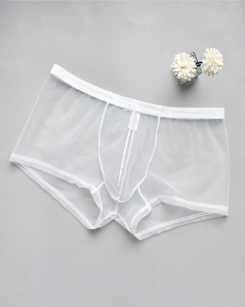 White sheer mesh boxer briefs with elastic waistband and front pouch