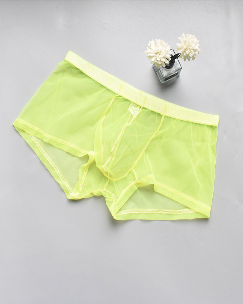 Lime sheer mesh boxer briefs with elastic waistband and front pouch